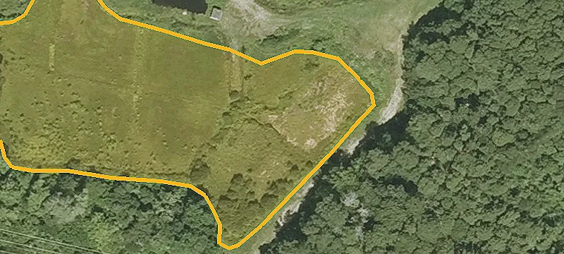 Bog Ln