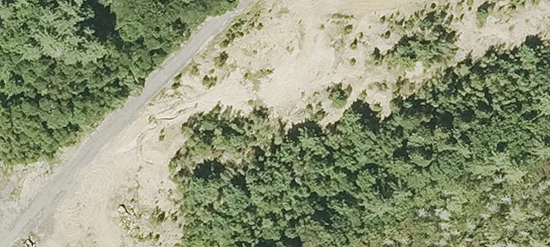 Pitcherville Rd