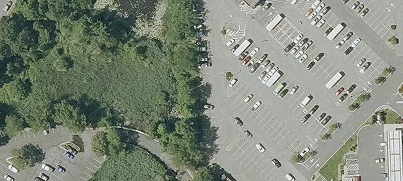 Cedar St