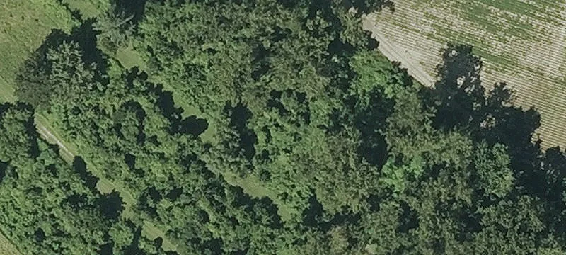 Dike Rd