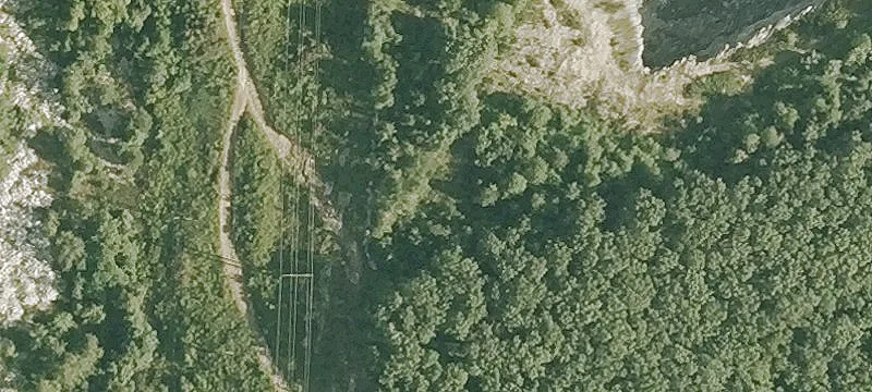 2 Jungle Rd