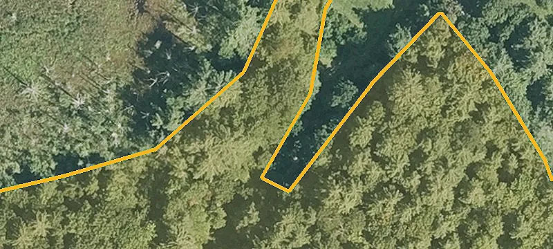 Swamp Rd