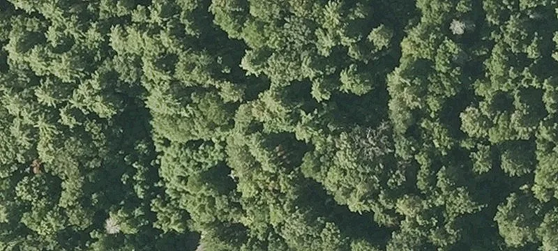 White Pond Rd
