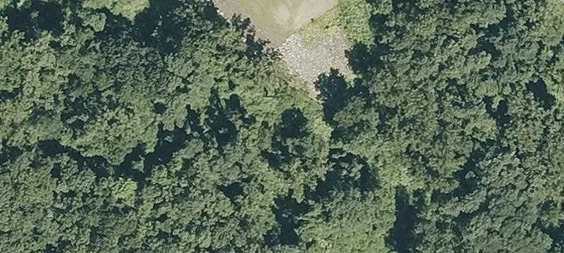 Tekoa Ave