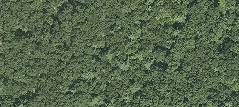 Sandy Pond Rd