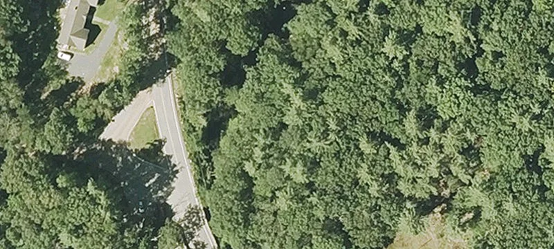 Athol Rd