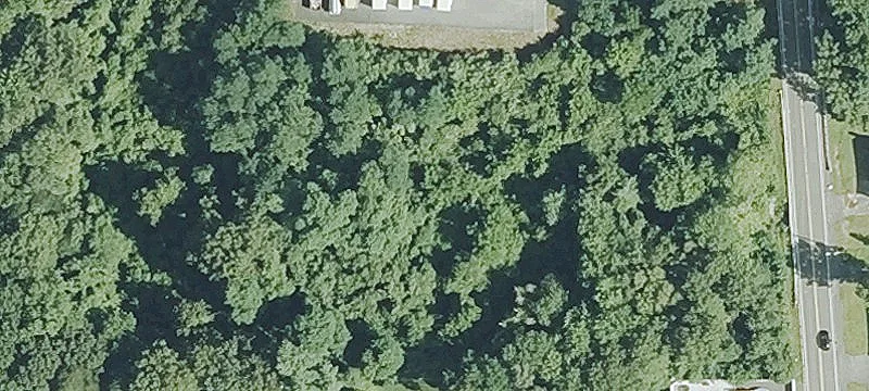 Elm Sta