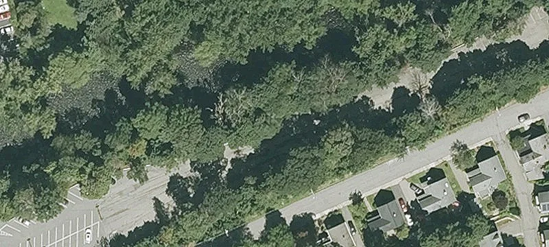 Walnut Ave