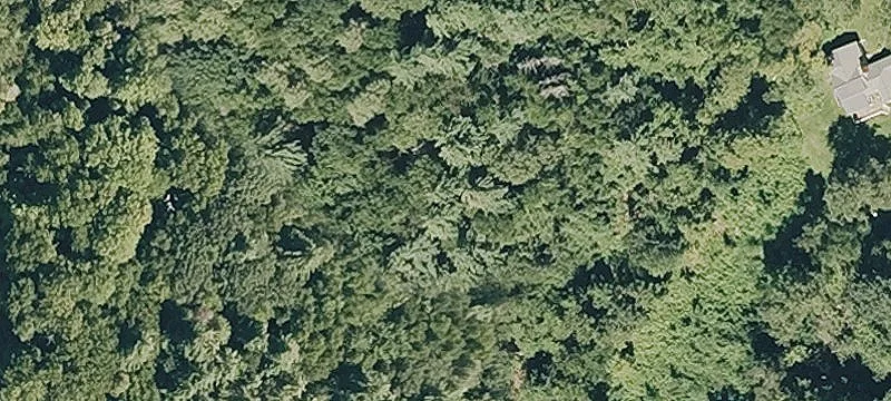 Phillips Rd