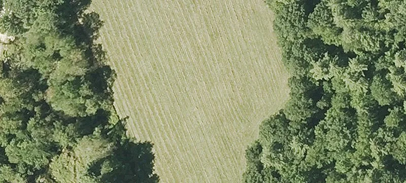 Stone Rd