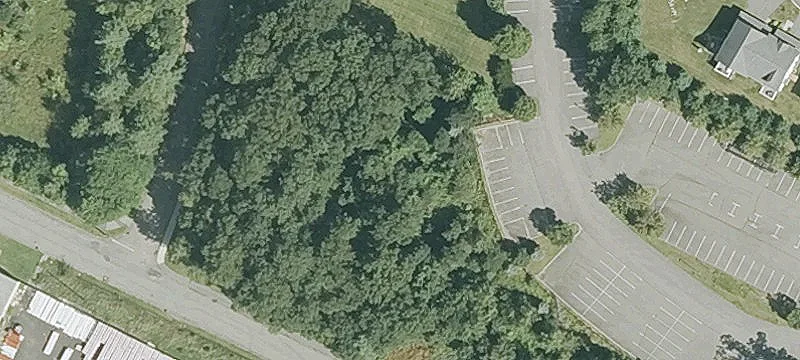 Everit Ave