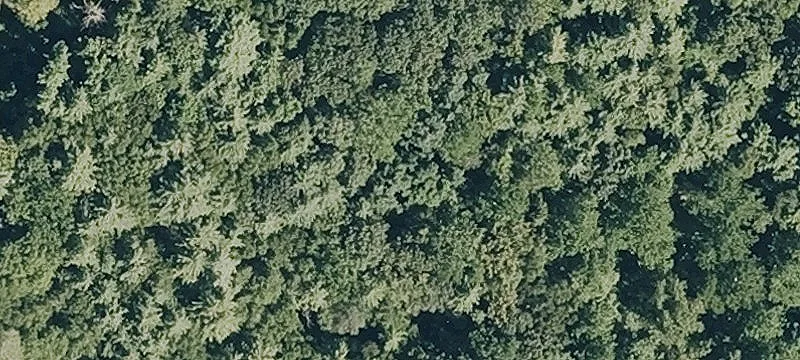 Old Gorge Rd