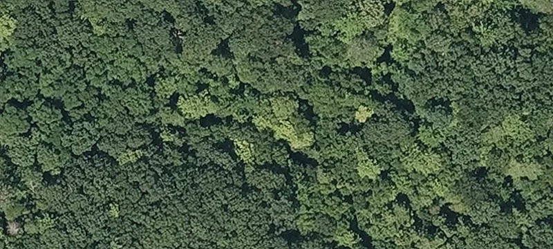 Mtn Rd