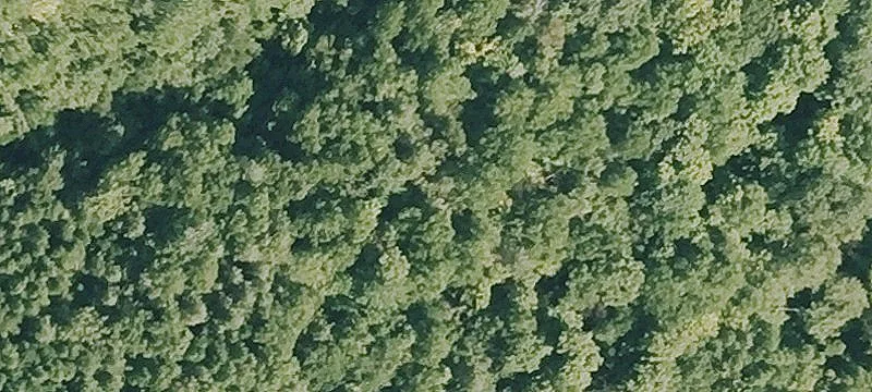 Whitcomb Hl Rd