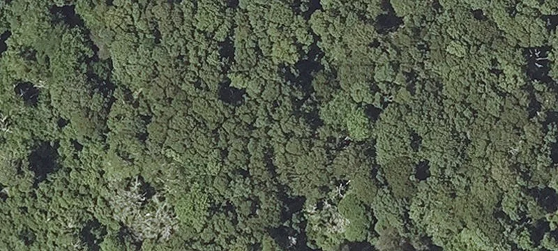 Lobsterville Rd