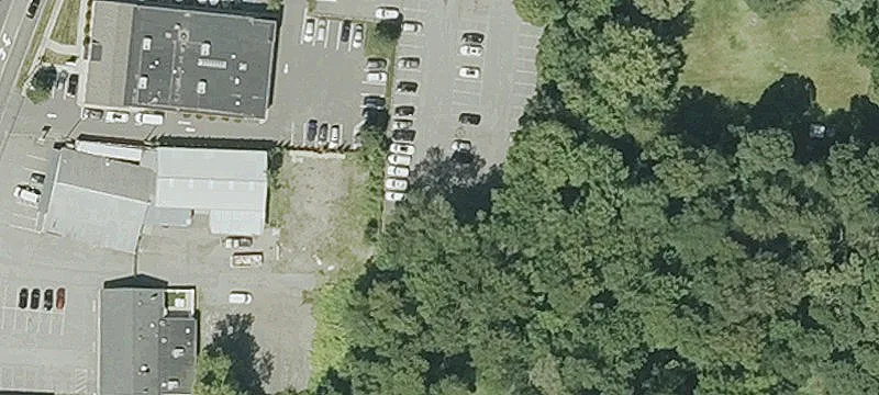 Lewis Ln