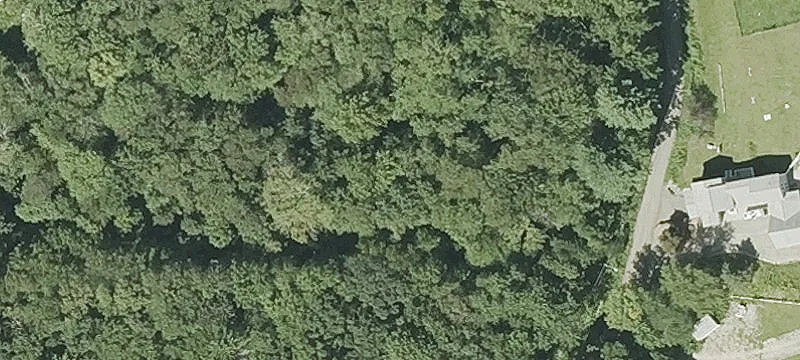 Horne Homestead Rd