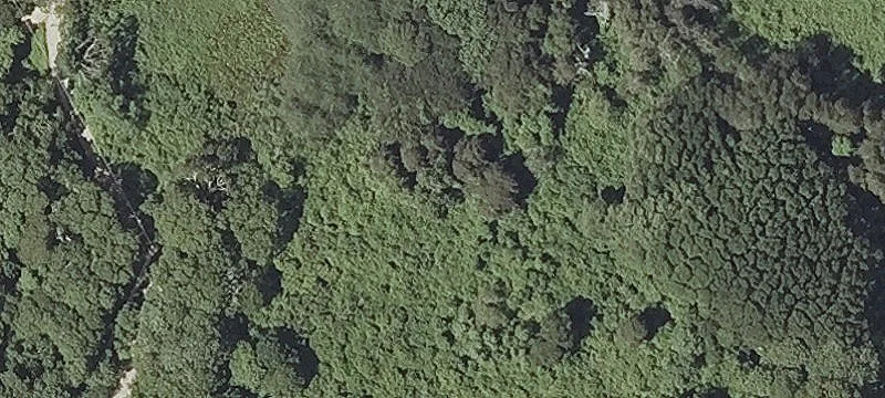 Pasture Ln