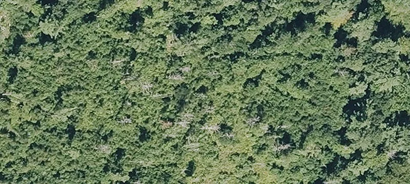 Otis Stage Rd