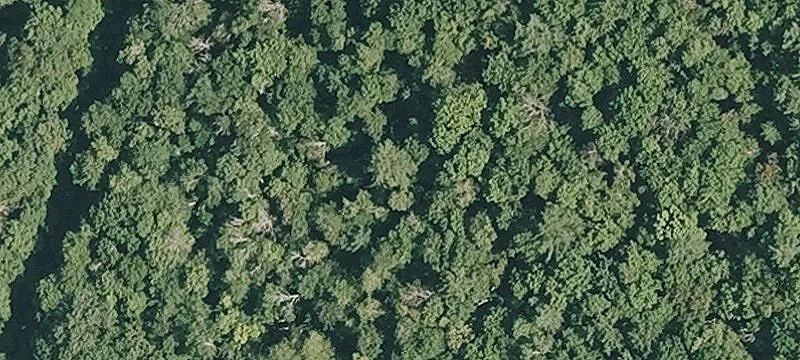 Old Vlg Rd