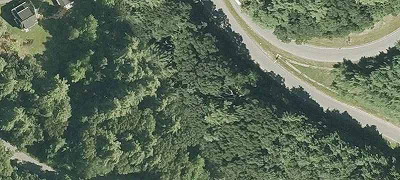 Taylor Rd