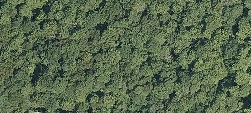 Ww Mtn Rd