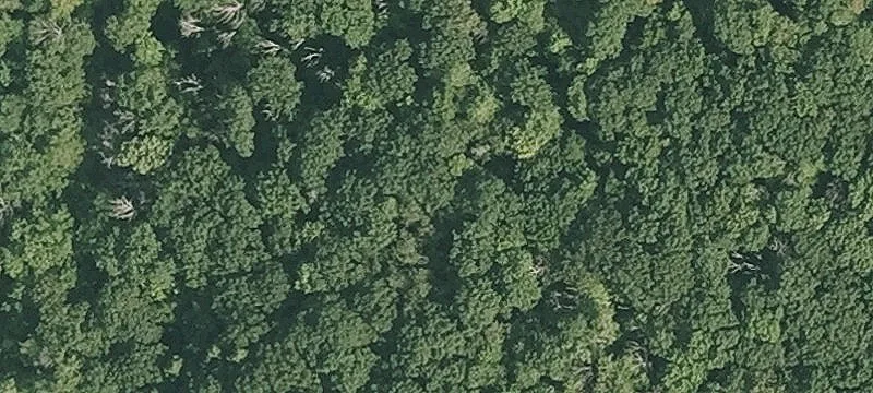 Osceola Rd