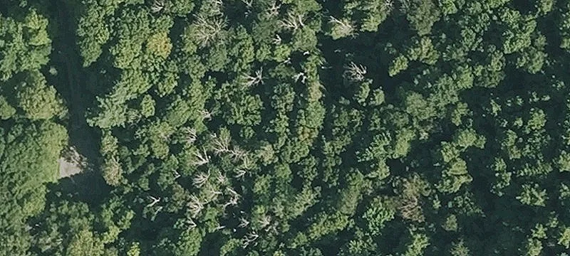Yokun Rd