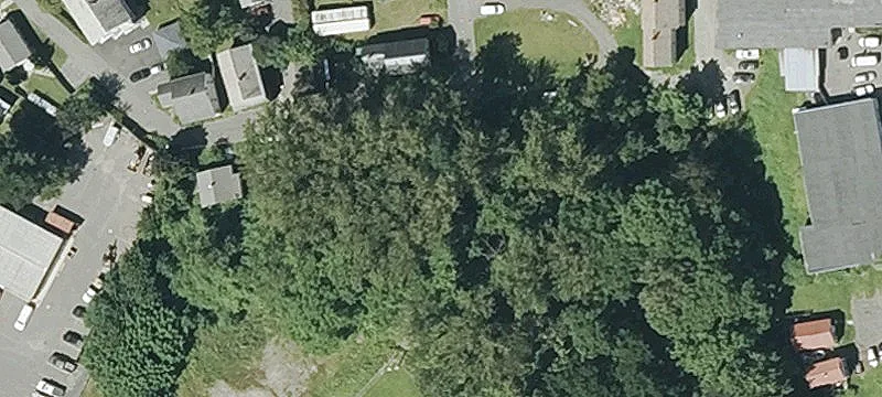 Carpenters Ln