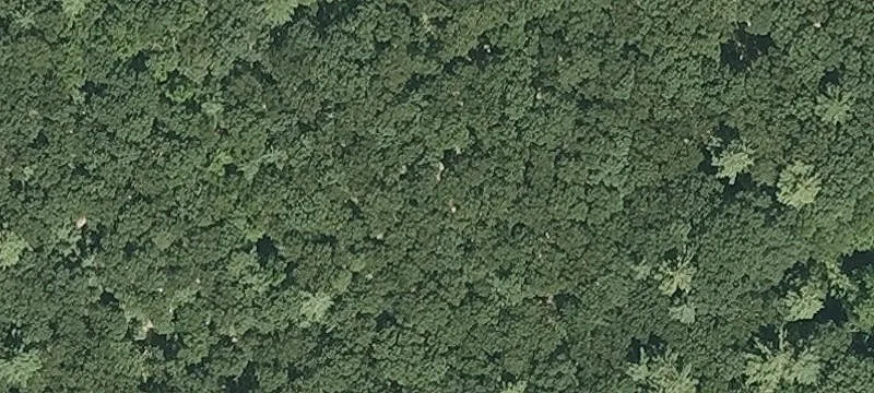 Nagog Hl Rd