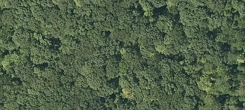 Old Stage Rd
