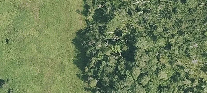 Yokun Rd