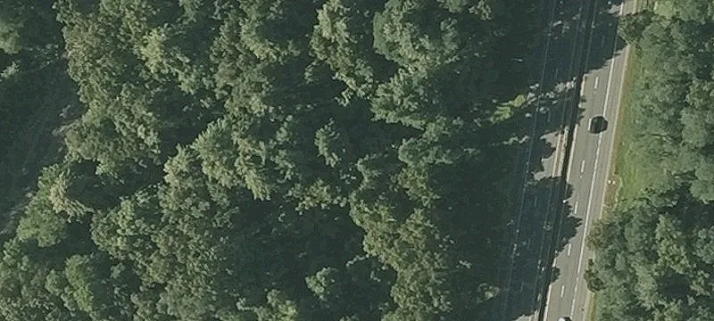 Robbins Rd