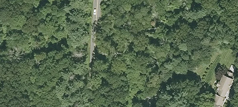 Wayside Inn Rd
