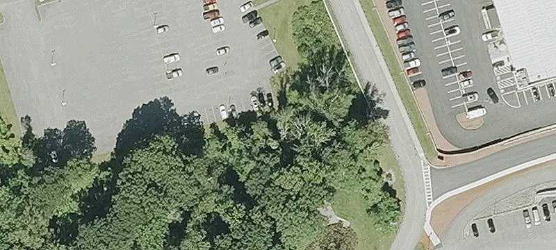 Faith Ave