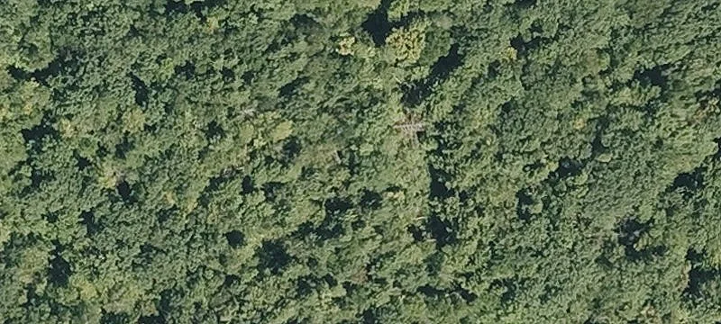Bear Swamp Rd