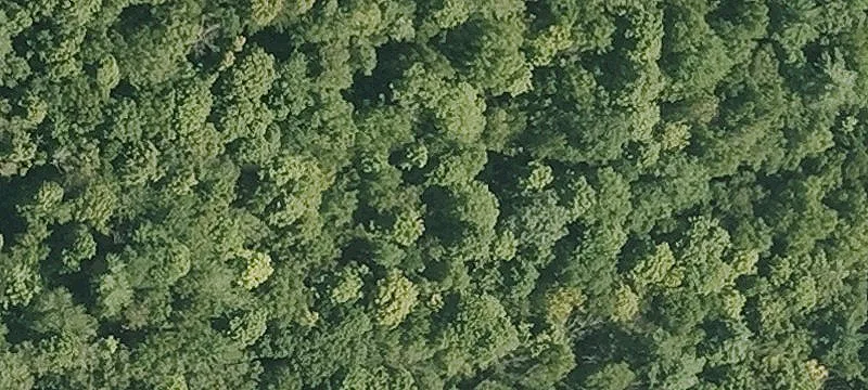 Ww Mtn Rd