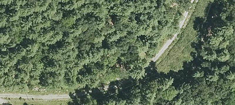 984 Hazard Ln