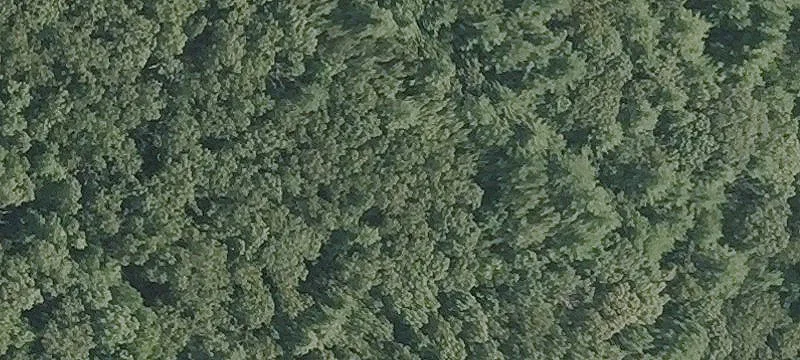 44 Ml Rd