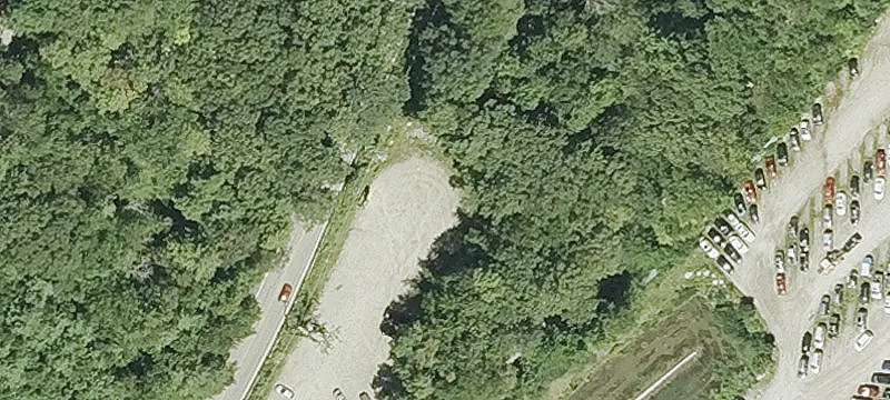 Douglas Rd