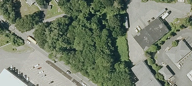Willow St