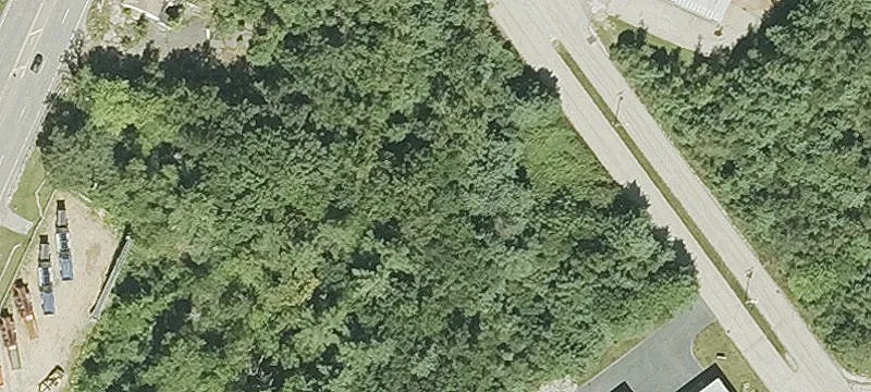 Pioneer Dr
