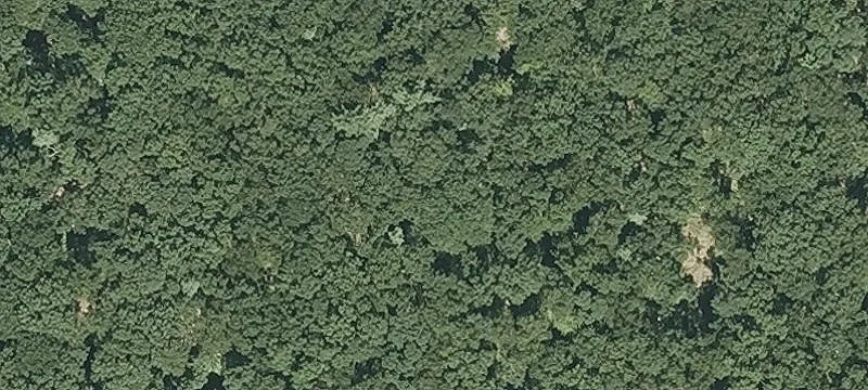 Long Cope Rd