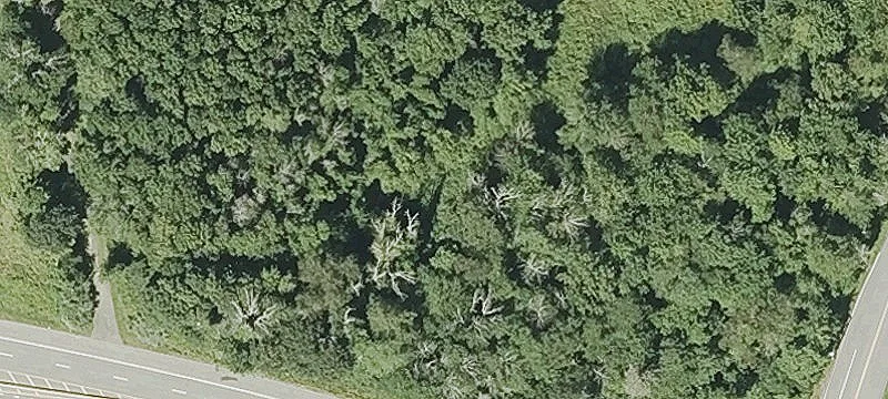 Ctr Depot Rd
