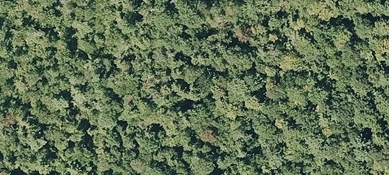 Otis Rd