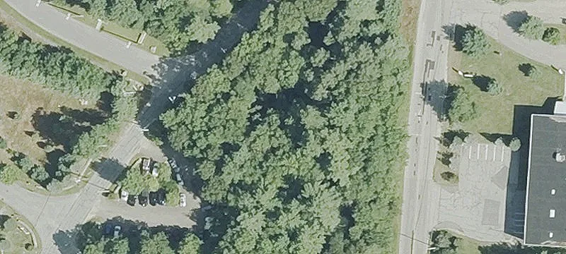 Reed Rd