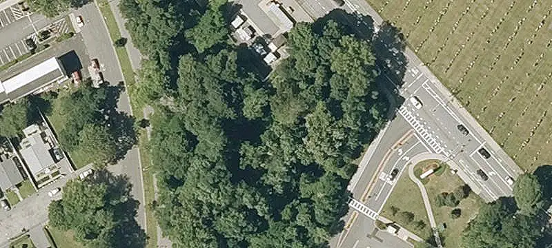 Cummins Hwy