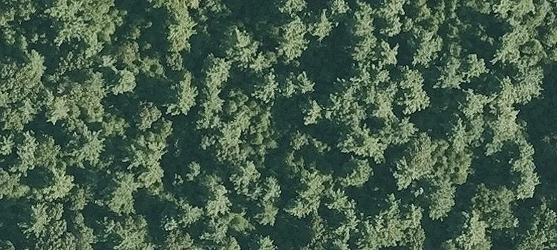 Rocky Pond Rd