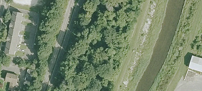 Albert St