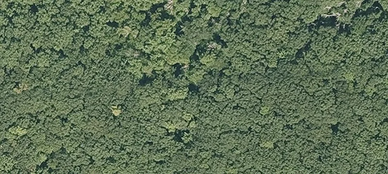 Nn Rd